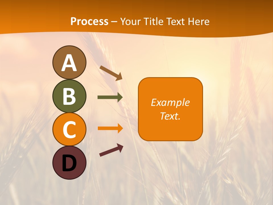 Wheat Fields PowerPoint Template