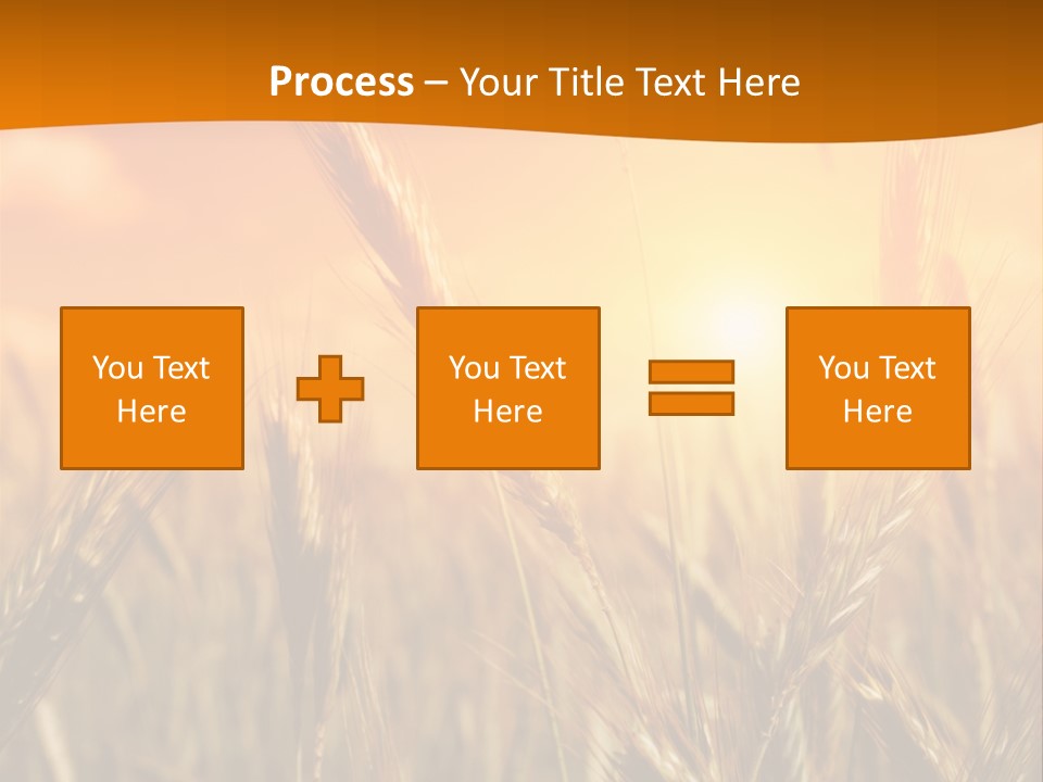 Wheat Fields PowerPoint Template