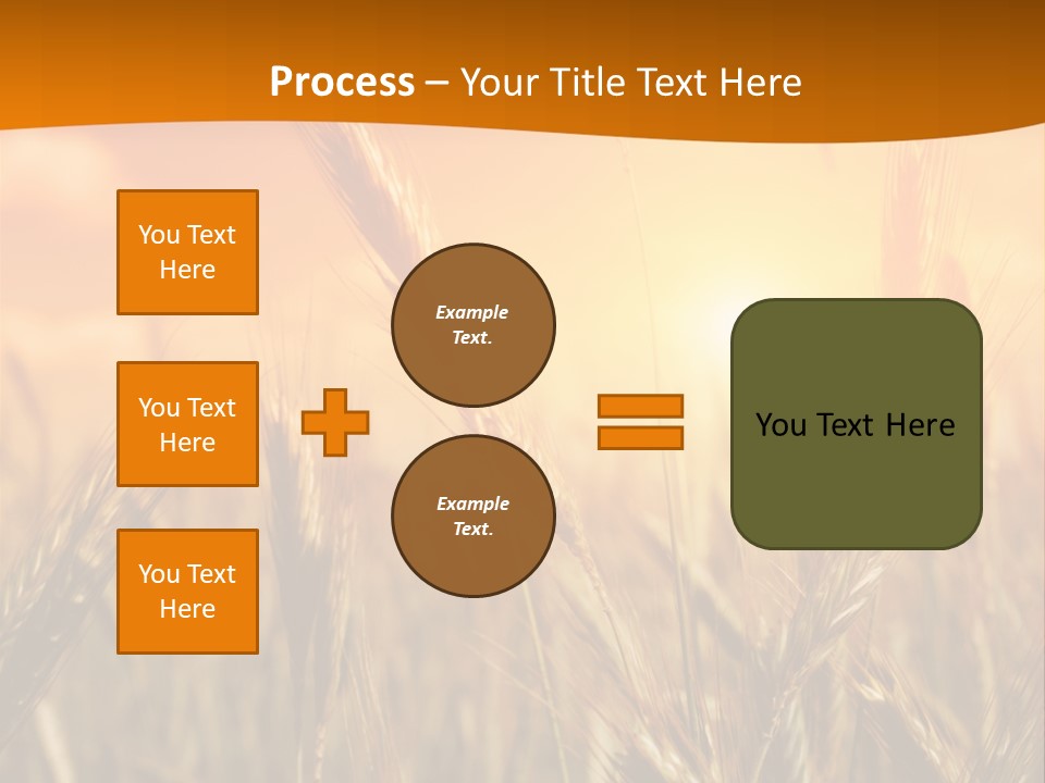 Wheat Fields PowerPoint Template