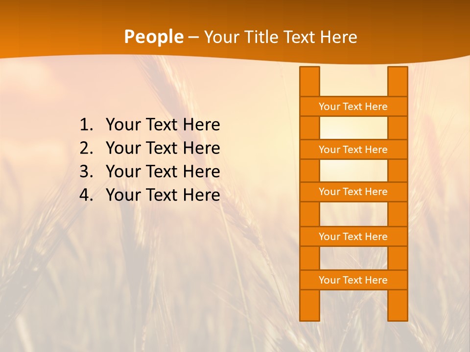 Wheat Fields PowerPoint Template