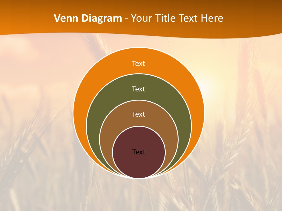 Wheat Fields PowerPoint Template