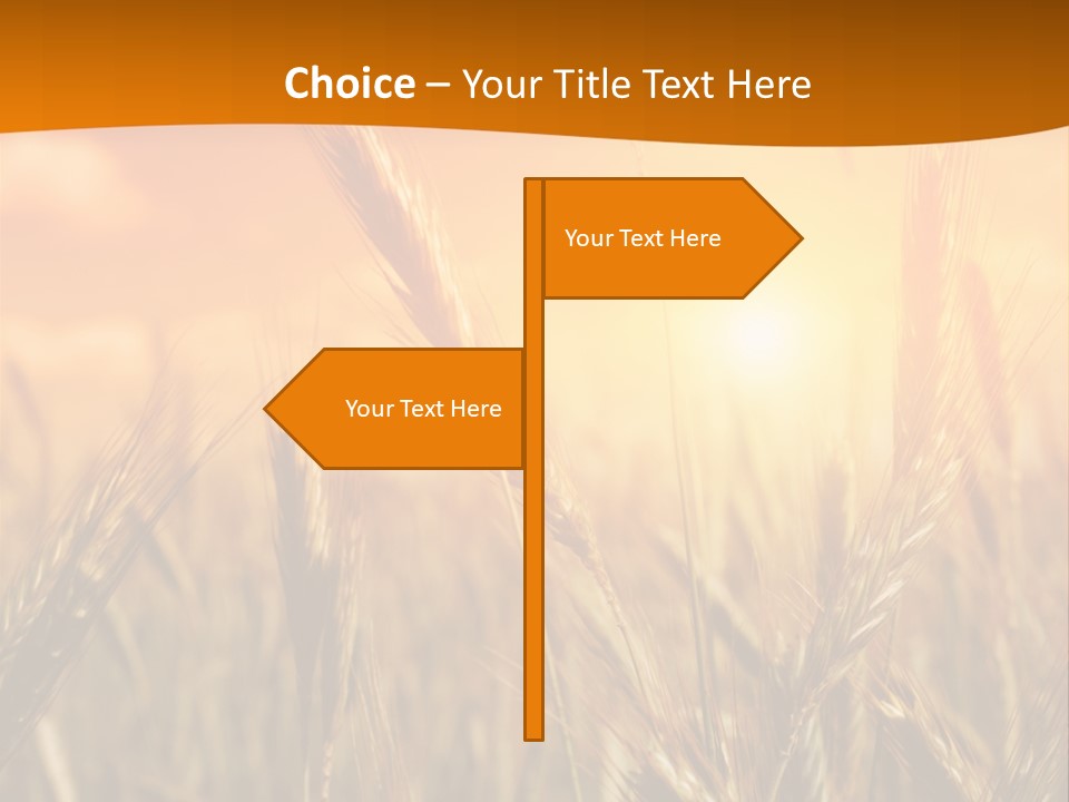 Wheat Fields PowerPoint Template