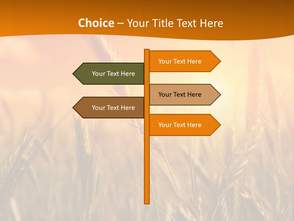 Wheat Fields PowerPoint Template