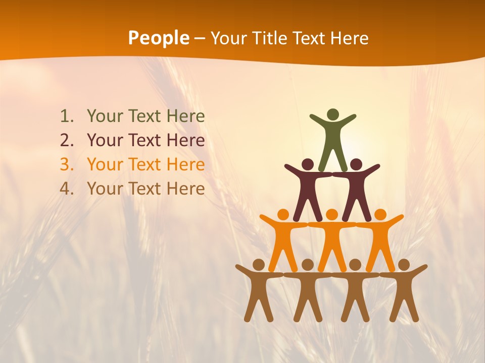 Wheat Fields PowerPoint Template