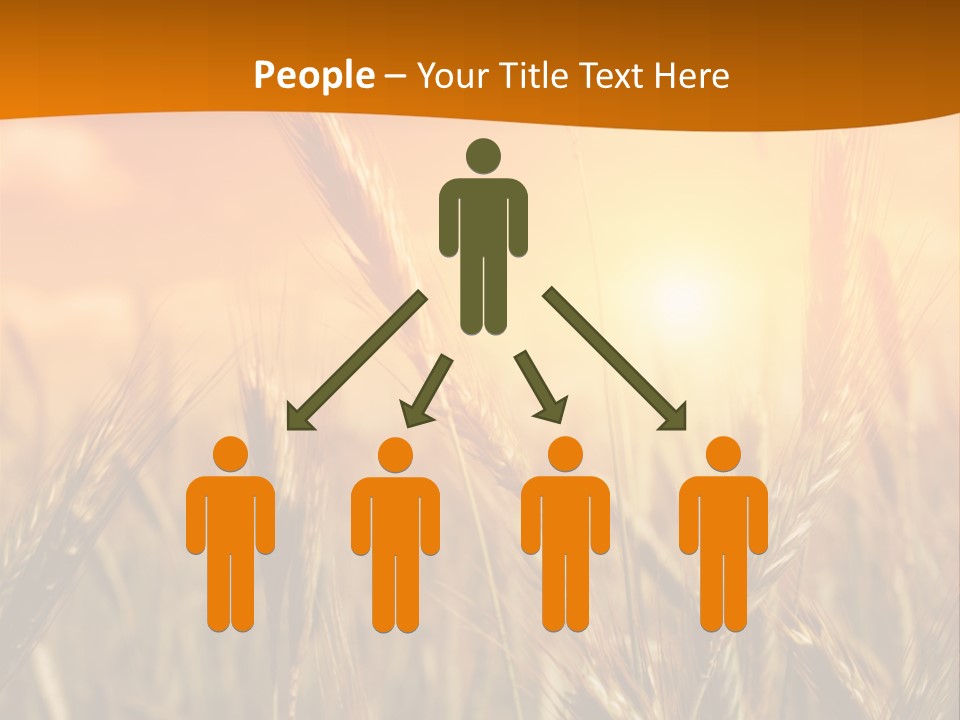 Wheat Fields PowerPoint Template