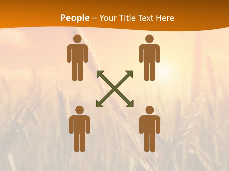 Wheat Fields PowerPoint Template