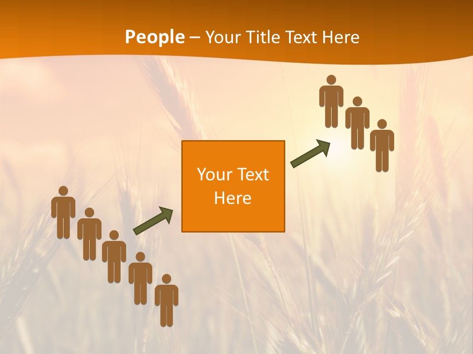Wheat Fields PowerPoint Template