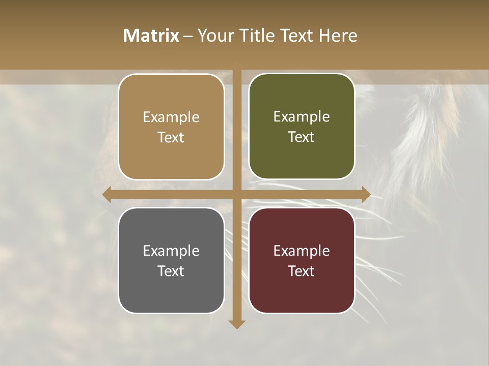 Head Approaching Resting PowerPoint Template