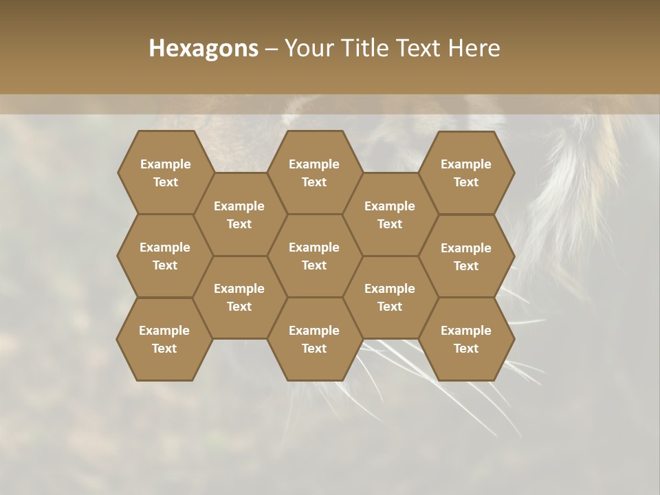 Head Approaching Resting PowerPoint Template