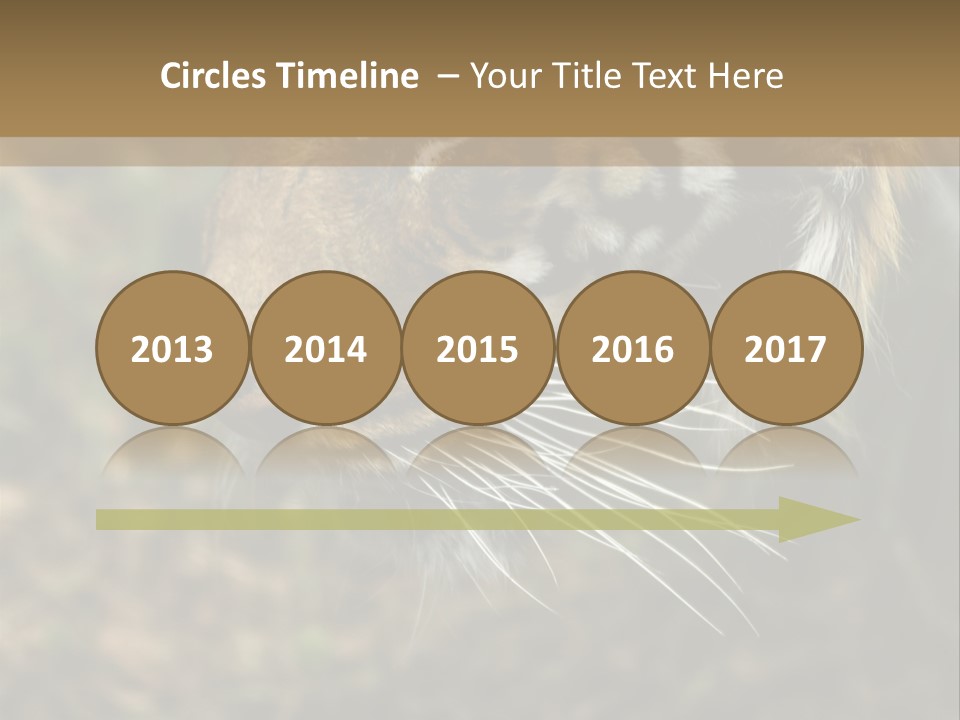 Head Approaching Resting PowerPoint Template