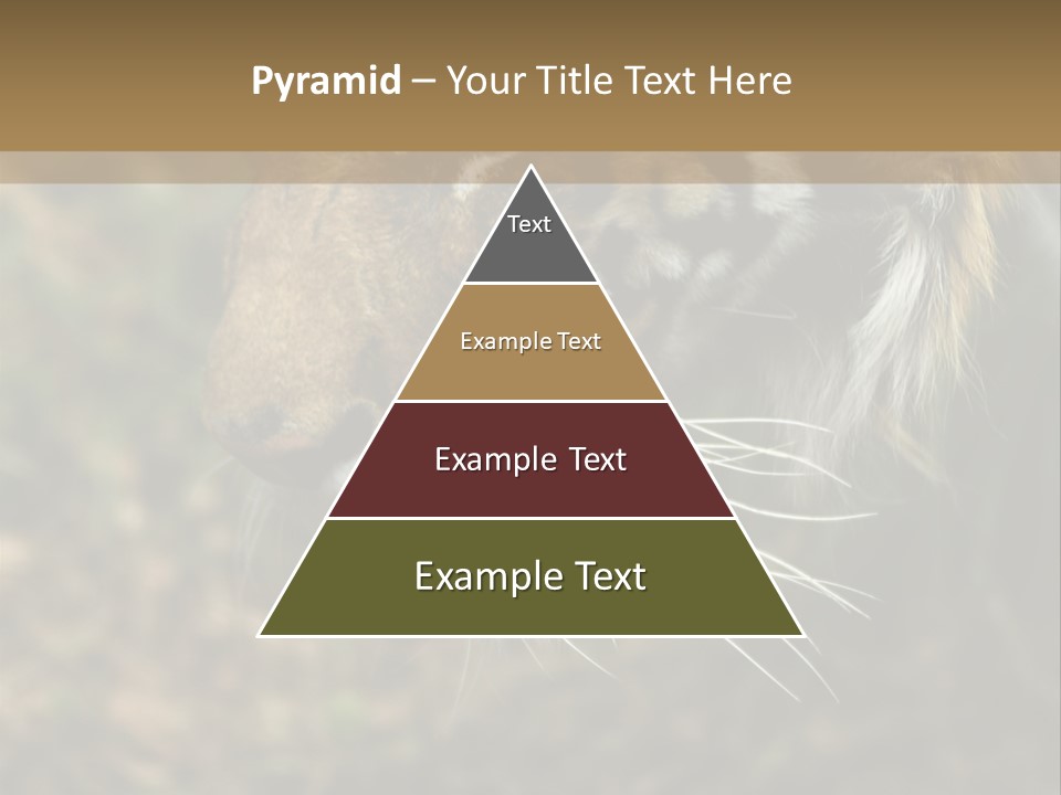 Head Approaching Resting PowerPoint Template