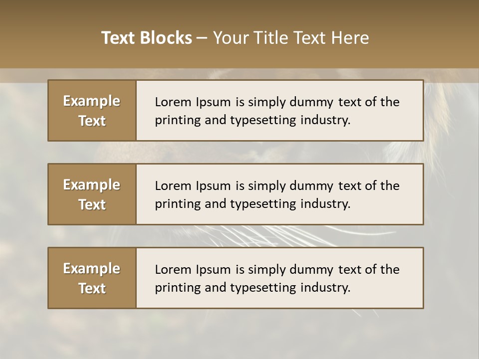 Head Approaching Resting PowerPoint Template