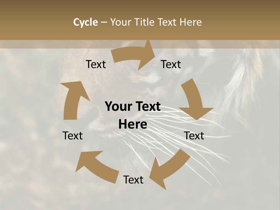 Head Approaching Resting PowerPoint Template