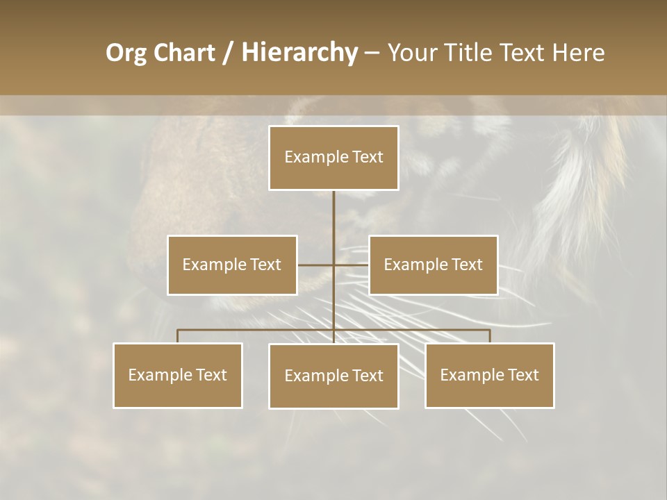 Head Approaching Resting PowerPoint Template