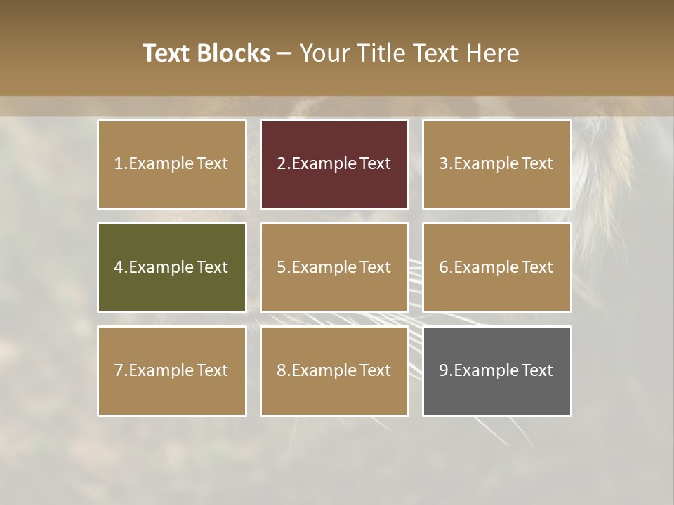 Head Approaching Resting PowerPoint Template