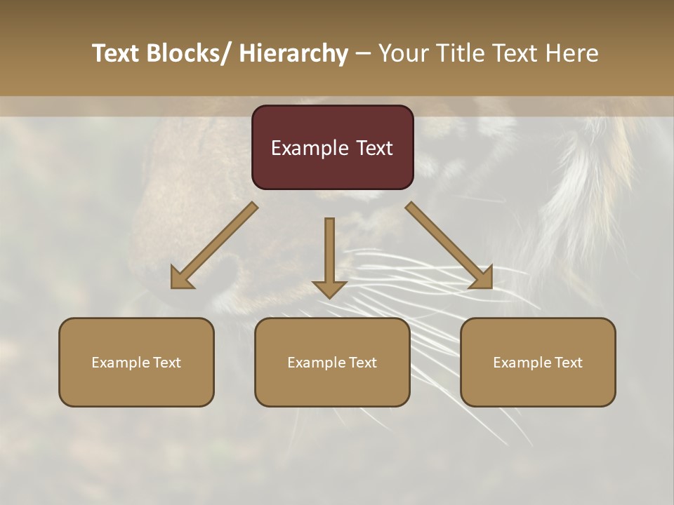 Head Approaching Resting PowerPoint Template
