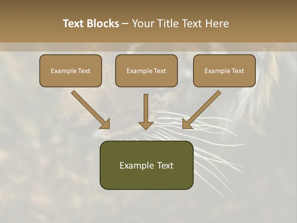 Head Approaching Resting PowerPoint Template