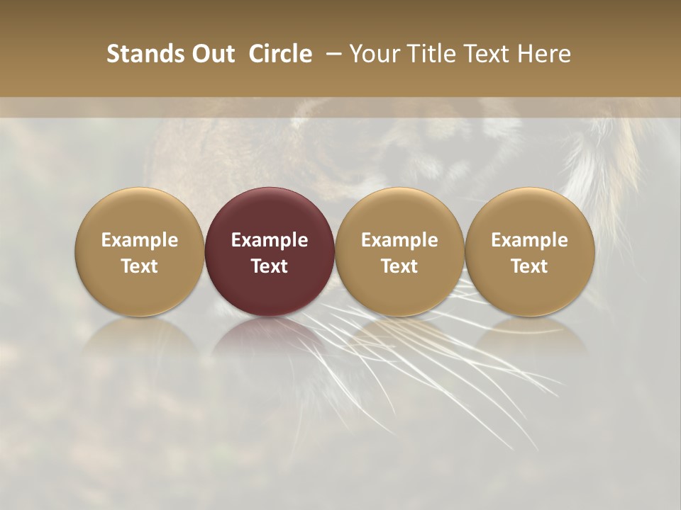 Head Approaching Resting PowerPoint Template