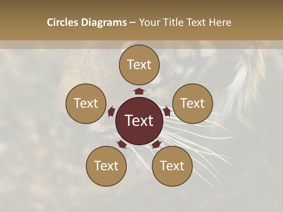 Head Approaching Resting PowerPoint Template