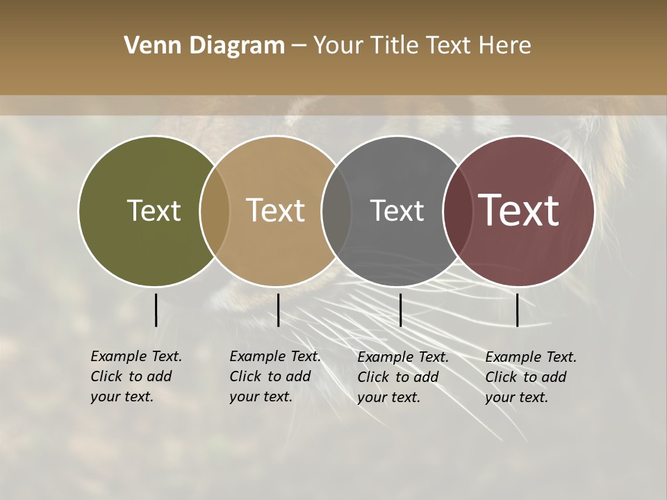 Head Approaching Resting PowerPoint Template