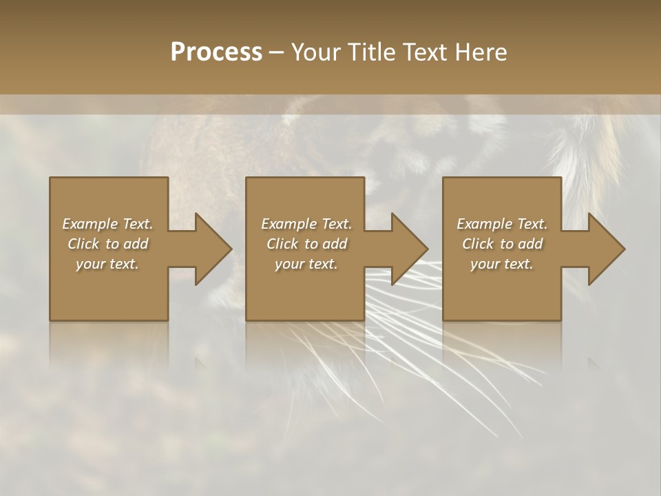 Head Approaching Resting PowerPoint Template
