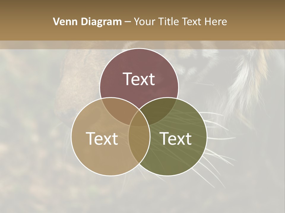 Head Approaching Resting PowerPoint Template