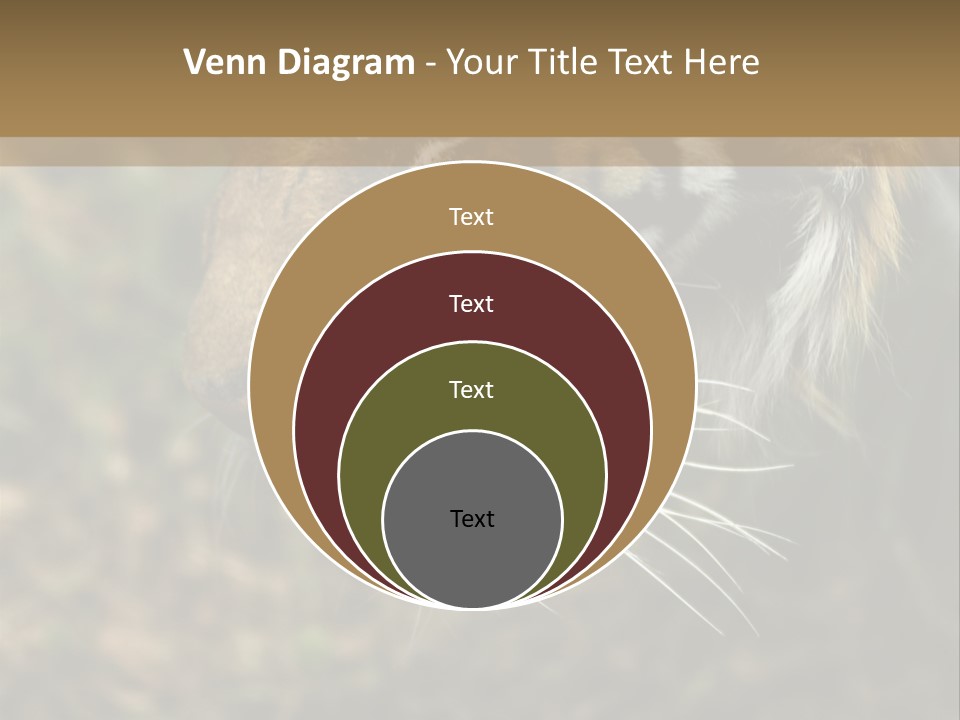 Head Approaching Resting PowerPoint Template