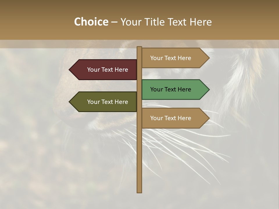 Head Approaching Resting PowerPoint Template
