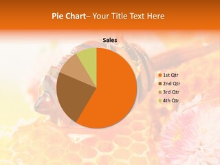 Honey And Health PowerPoint Template