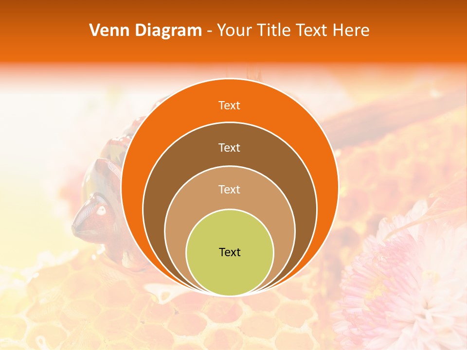 Honey And Health PowerPoint Template