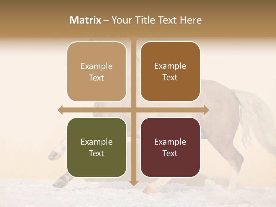 Horse Wallpaper For Desktop PowerPoint Template