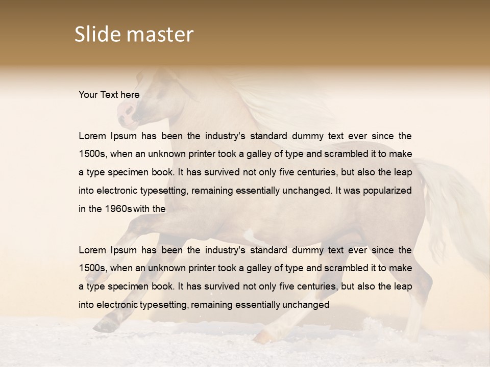 Horse Wallpaper For Desktop PowerPoint Template
