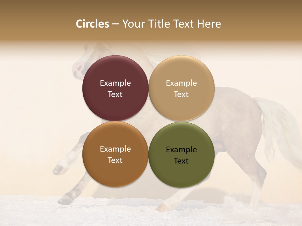 Horse Wallpaper For Desktop PowerPoint Template