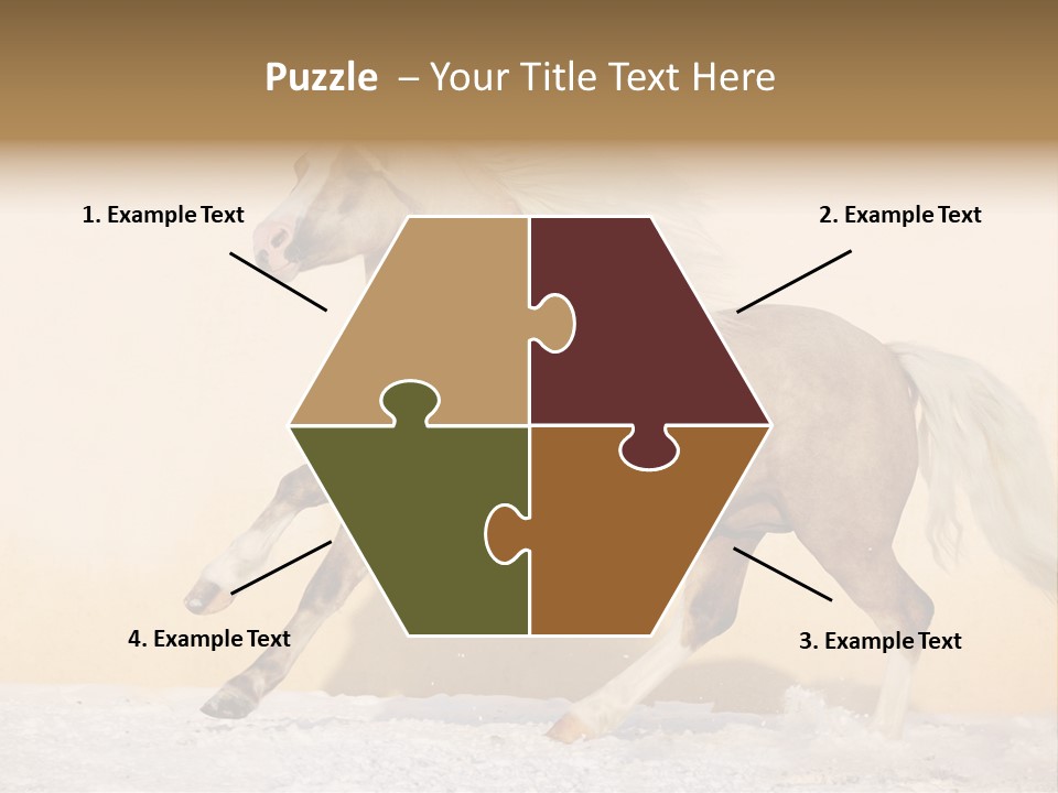 Horse Wallpaper For Desktop PowerPoint Template