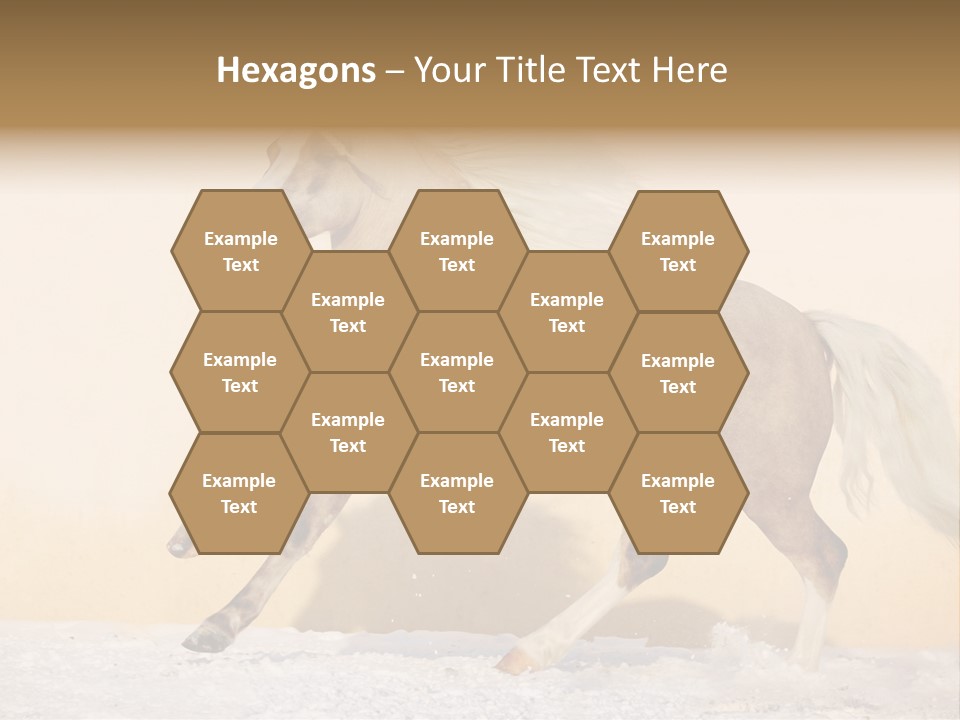 Horse Wallpaper For Desktop PowerPoint Template