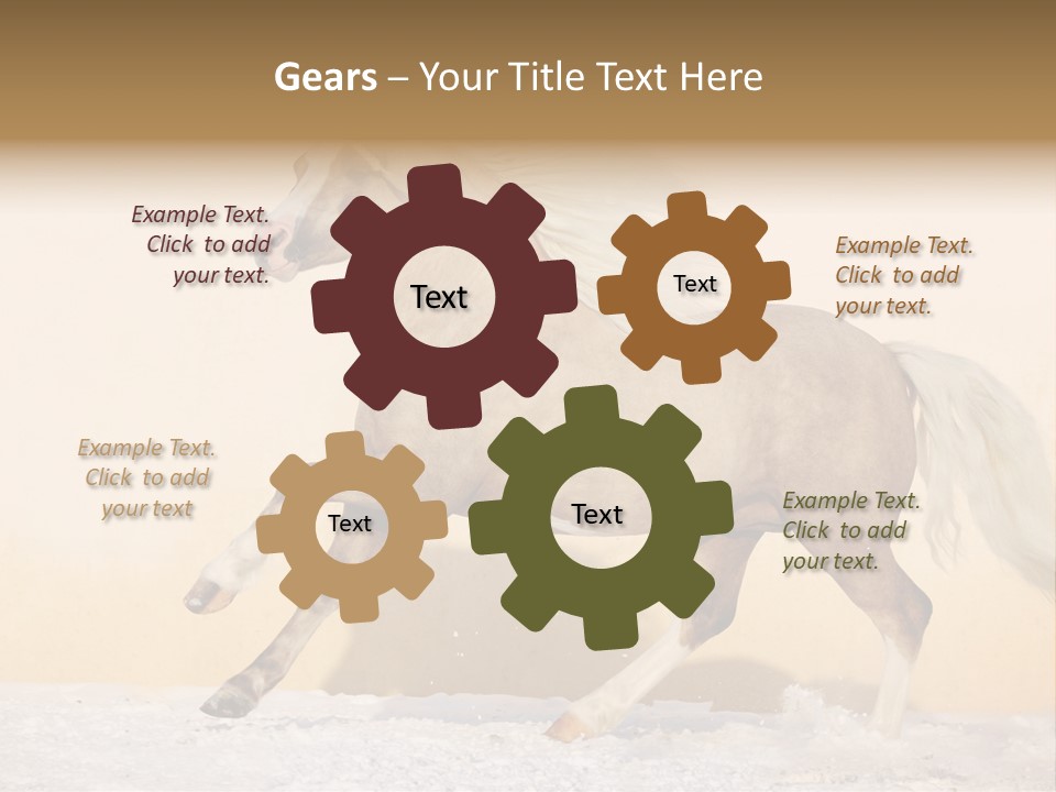 Horse Wallpaper For Desktop PowerPoint Template