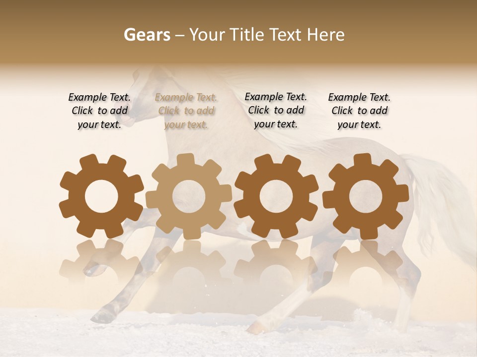 Horse Wallpaper For Desktop PowerPoint Template