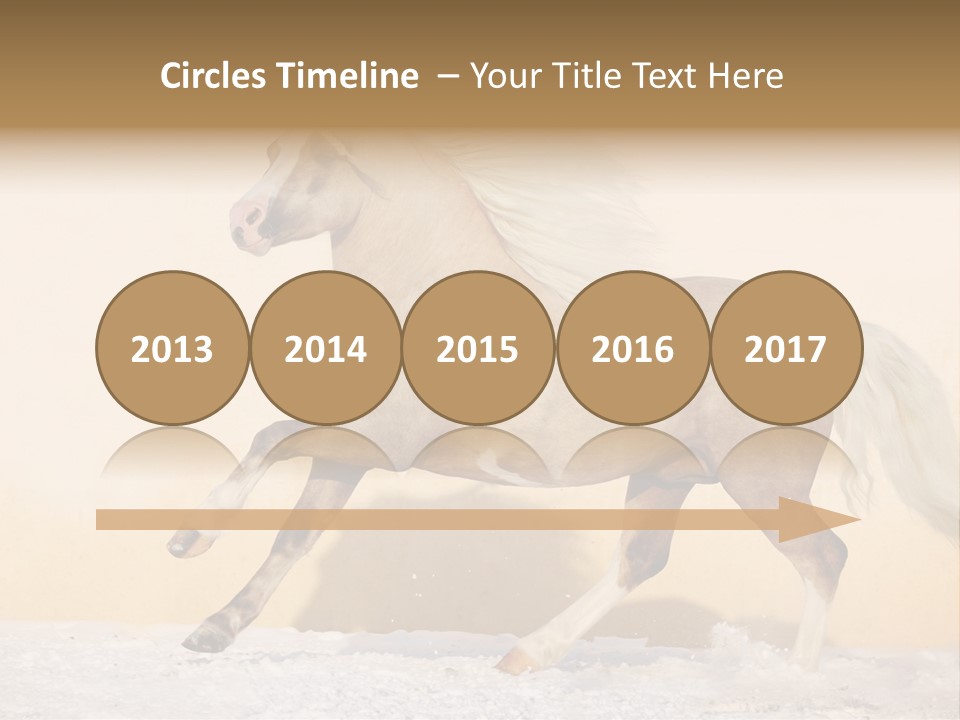 Horse Wallpaper For Desktop PowerPoint Template