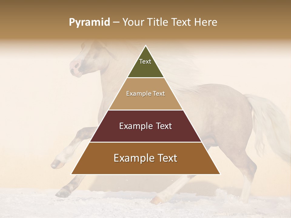 Horse Wallpaper For Desktop PowerPoint Template