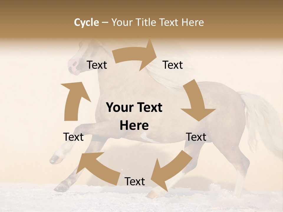 Horse Wallpaper For Desktop PowerPoint Template