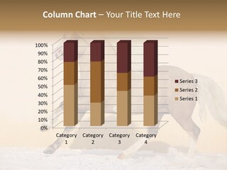 Horse Wallpaper For Desktop PowerPoint Template