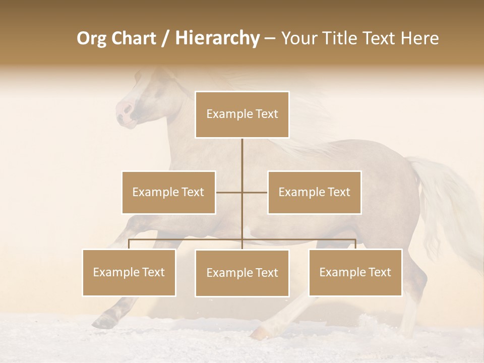 Horse Wallpaper For Desktop PowerPoint Template
