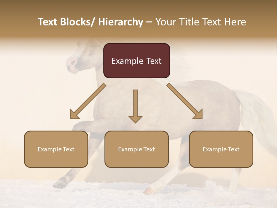 Horse Wallpaper For Desktop PowerPoint Template