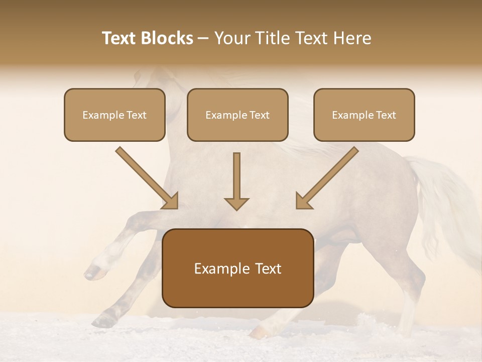 Horse Wallpaper For Desktop PowerPoint Template