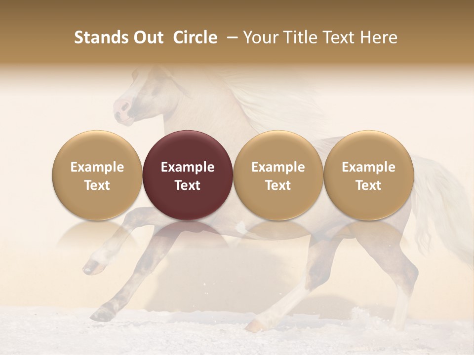 Horse Wallpaper For Desktop PowerPoint Template