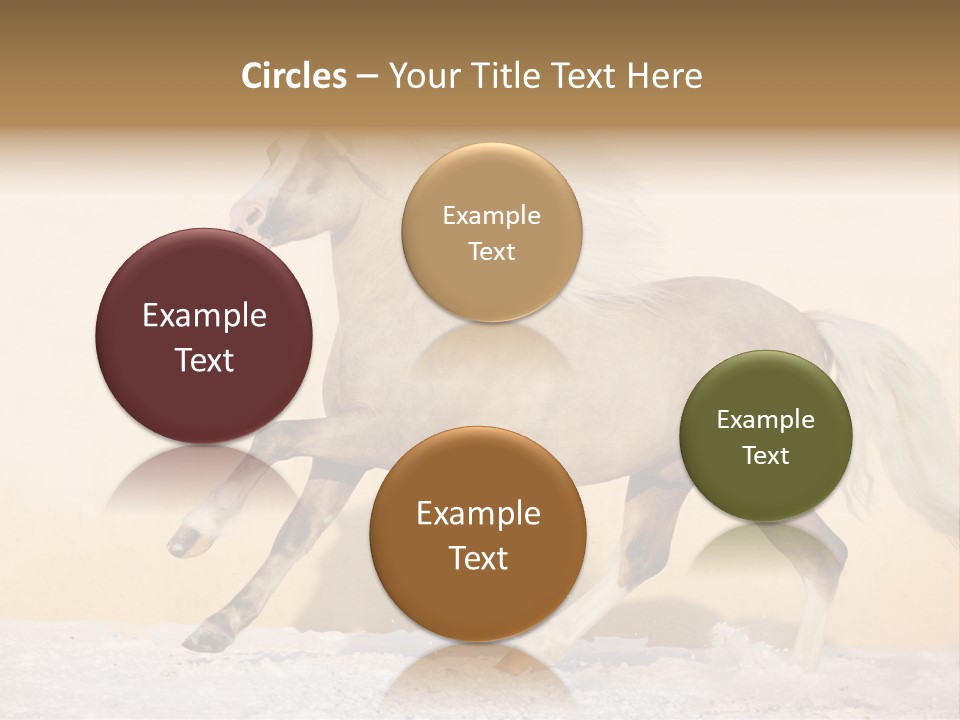 Horse Wallpaper For Desktop PowerPoint Template