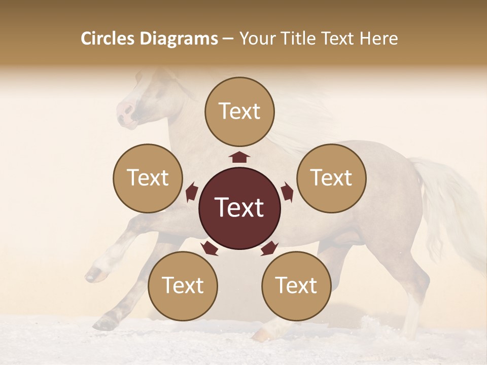 Horse Wallpaper For Desktop PowerPoint Template