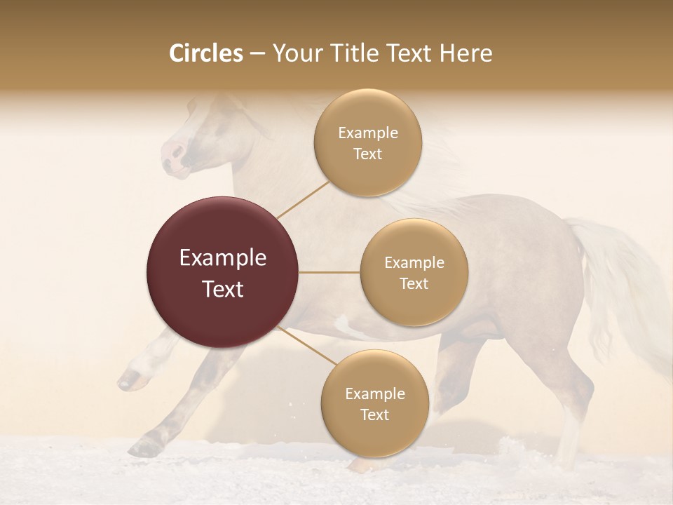 Horse Wallpaper For Desktop PowerPoint Template