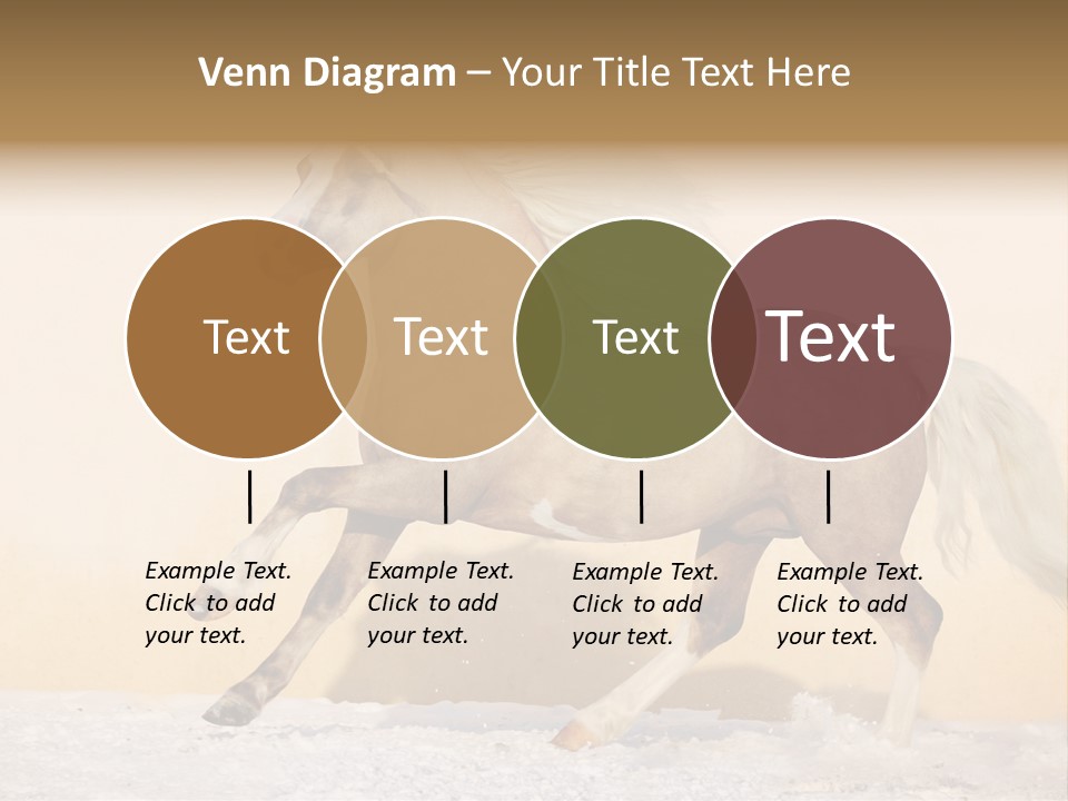 Horse Wallpaper For Desktop PowerPoint Template