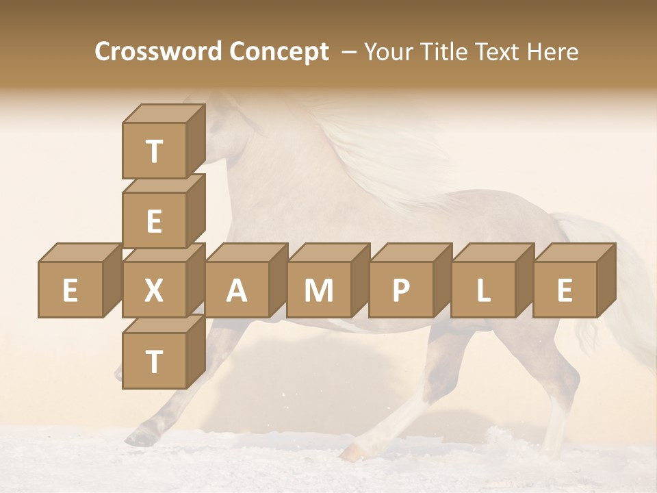 Horse Wallpaper For Desktop PowerPoint Template